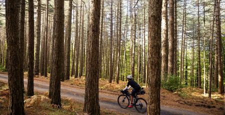 ciclovia dei parchi ph @paolociaberta 19a52165 - Meraviglie di Calabria - 45