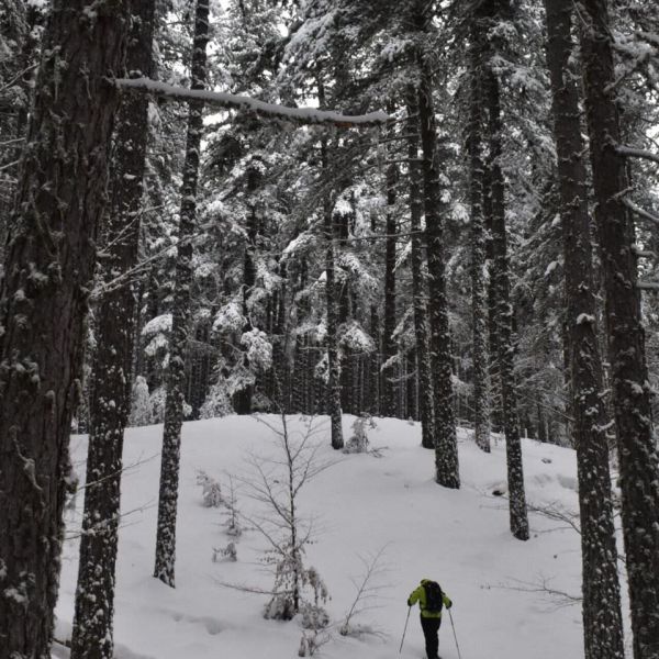 Colle del Lupo: il sogno del Sud