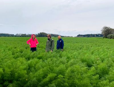 Linea Verde Illumina, protagonista la costa jonica calabrese