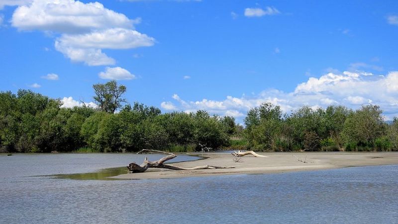 crati3 opt 1a3408ae - Nella Riserva naturale di Sibari, il centro visite e la sezione del Museo del Mare - 1 Nella Riserva naturale di Sibari, il centro visite e la sezione del Museo del Mare