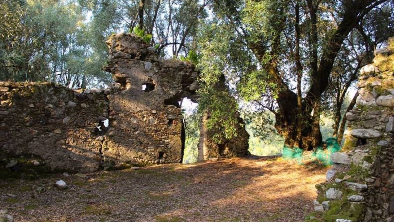 Oppido Vecchia: un viaggio nella storia tra rovine affascinanti [FOTO]