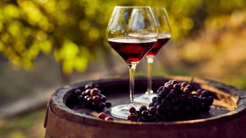 virgilio 1b5e13b9 - E' tutto pronto per il Cirò Wine Festival Off. Il programma - 1 E’ tutto pronto per il Cirò Wine Festival Off. Il programma