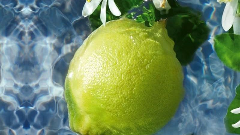 Bergamotto profumo 1d56f116 - Il bergamotto base del successo, Extrait de Parfum Agrums tra le fragranze d’eccellenza - 1 Il bergamotto base del successo, Extrait de Parfum Agrums tra le fragranze d’eccellenza