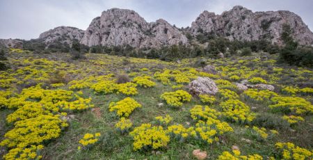 Montagna Piani di Rufo Monte Mammicomito 1 1da1dd00 - Meraviglie di Calabria - 39