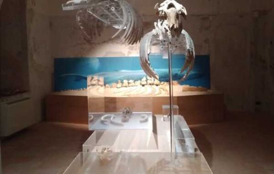 Museo-del-mare-tropea