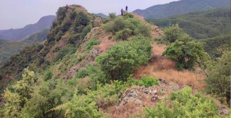 WhatsApp Image 2024 07 18 at 10.45.59 1d7a1b68 - Meraviglie di Calabria - 41