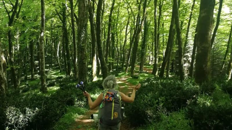 A passo lento nella natura calabrese, a Monterosso i giorni di Kalipè