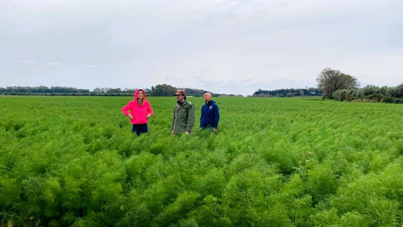 Linea Verde Illumina, protagonista la costa jonica calabrese