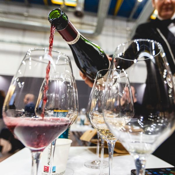 Slow Wine Fair, ‘Pollino Enoico’ corre per il premio Terroir e Spirito Slow