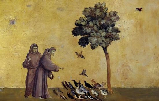 San Francesco dAssisi 1 1f90aa52 - Meraviglie di Calabria - 1