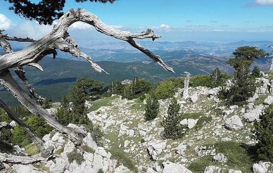 parco pollino 1f33c732 - Meraviglie di Calabria - 19