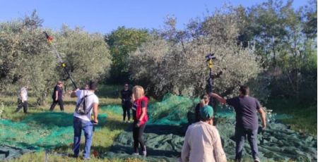 MOLITURA AGRARIO 696x443 1 20e7c793 - Meraviglie di Calabria - 39