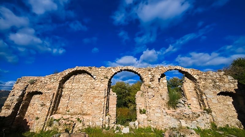 Trekking Acerenthia b 209fe554 - Trekking naturalistico e astronomico tra le rovine di Acerenthia - 1 Trekking naturalistico e astronomico tra le rovine di Acerenthia