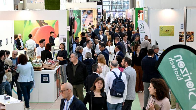 Padiglioni Macfrut 2023 1 e1715017947729 21b8bb19 - MacFrut 2024, a Rimini in mostra il Cedro di Calabria - 1 MacFrut 2024, a Rimini in mostra il Cedro di Calabria