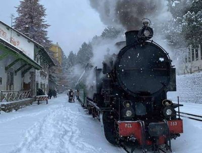 treno sila locomotiva camigliatello 1 215a2467 - Home - 13 In Sila a bordo del treno più antico d’Italia