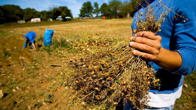 Calabria hotspot di biodiversità, a Tropea “Anteprima Terra Madre”