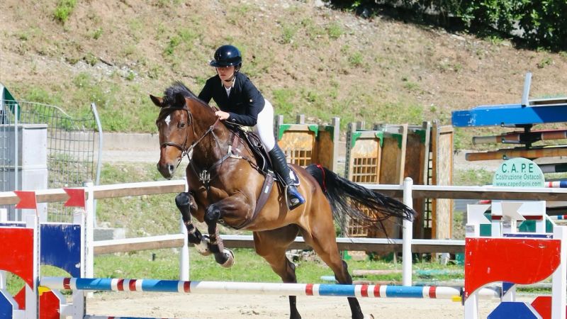 cavallo Centro Ippico Valle dei Mulini 1 22f71e42 - Giovani cavalli in gara a Catanzaro per il circuito MASAF - 1 Giovani cavalli in gara a Catanzaro per il circuito MASAF