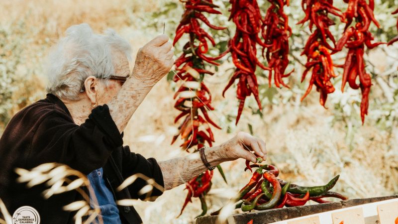 “Raccontando la Calabria”, il nuovo libro di Gianpiero Taverniti