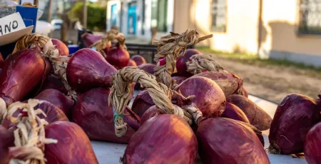 cipolla tropea 22e3e81c - Meraviglie di Calabria - 9