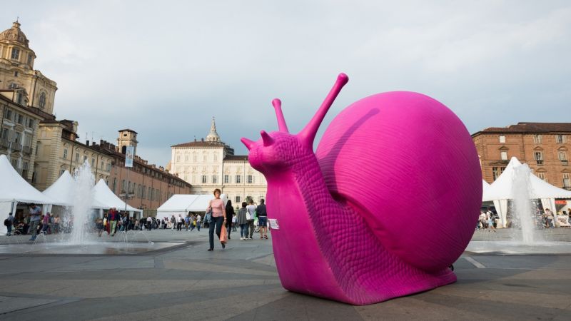 Al via Terra Madre 2026, a Torino la magnifica biodiversità calabrese