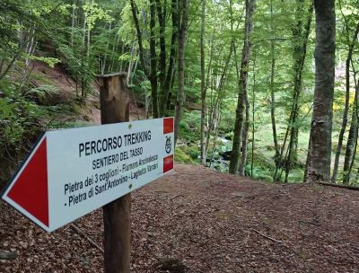 Turismo Calabria ionica, nasce “SUD – Sustainable Urban Development”