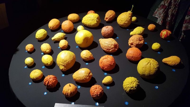 bergamotto 2344881e - Il Bergamotto di Reggio Calabria che piace alla Fiera del Turismo Mondiale di Rimini - 1 Il Bergamotto di Reggio Calabria che piace alla Fiera del Turismo Mondiale di Rimini