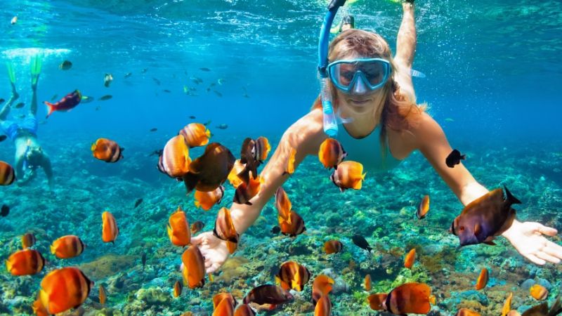 header 233961c7 - Alla Scoperta dei Migliori Luoghi per Snorkeling in Calabria - 1 Alla Scoperta dei Migliori Luoghi per Snorkeling in Calabria