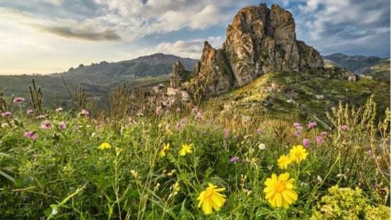 parcopanoramapratocopertina1116367634 500x334 1 236b5b63 - Parco Nazionale dell'Aspromonte, tra tutela e biodiversità - 1 Parco Nazionale dell’Aspromonte, tra tutela e biodiversità