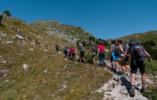 pollino Va sentiero fest 3 2353c41a - Meraviglie di Calabria - 1