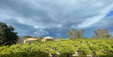 FAI villa paparo ph Anna De Riso 2 scaled 2420e02b - Meraviglie di Calabria - 38