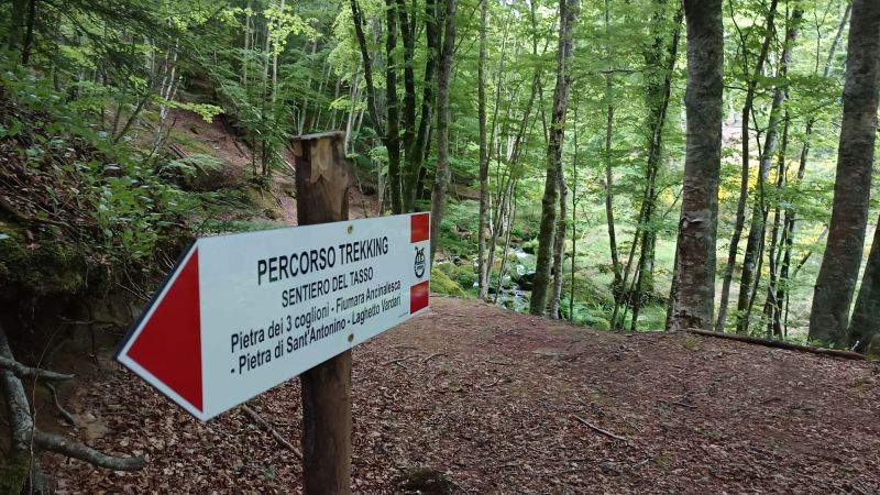 Turismo Calabria ionica, nasce “SUD – Sustainable Urban Development”