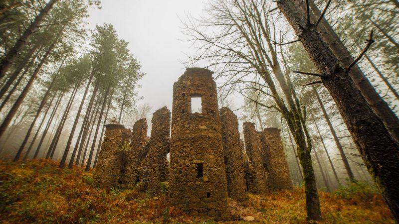 Parco delle serre castello baronessa Enrichetta Scoppa ph Antonio Arico 1 2adf623c - Trai boschi delle Serre, la natura e il fascino noir del Castello di Lacina - 1 Trai boschi delle Serre, la natura e il fascino noir del Castello di Lacina
