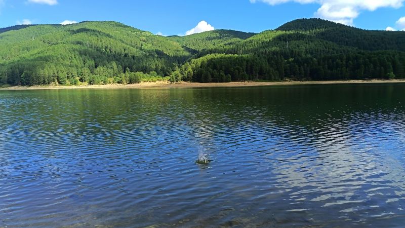 Sila lago 2a899d2f - Weekend settembrino, sport e natura con Sila Bike Summer Fest - 1 Weekend settembrino, sport e natura con Sila Bike Summer Fest