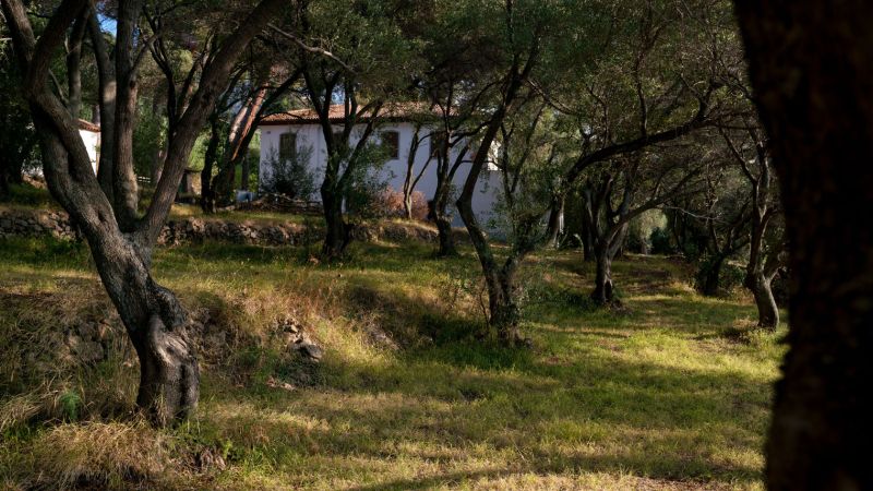 Villa Repaci foto Turismo reggio calabria 2a84db65 - Palmi, la Pietrosa di Leonida Repaci apre grazie a un progetto culturale - 1 Palmi, la Pietrosa di Leonida Repaci apre grazie a un progetto culturale