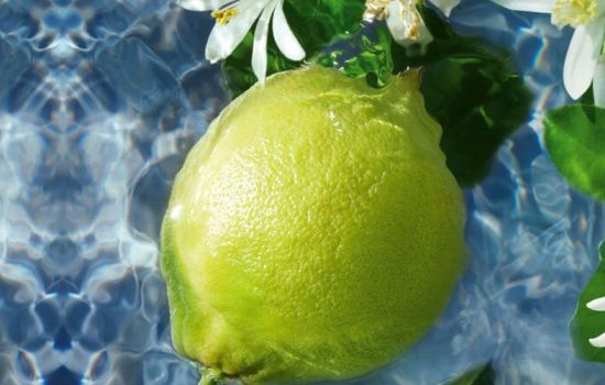 Bergamotto profumo 2b20ecca - Meraviglie di Calabria - 15