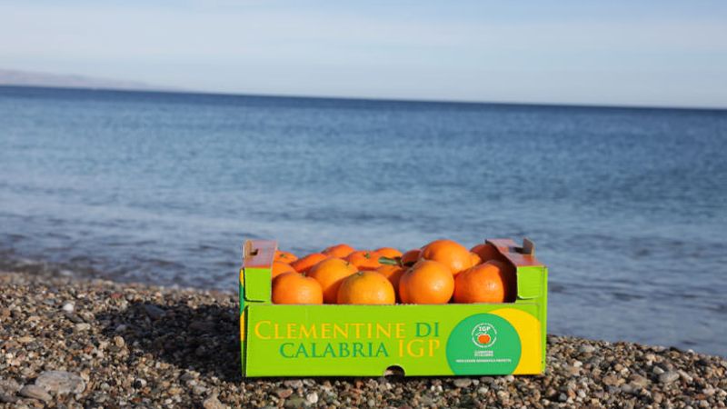 Clementine di Calabria IGP 1 2cd8f51d - Clementine di Calabria IGP, uno spot emozionale per Cinema e Tv - 1 Clementine di Calabria IGP, uno spot emozionale per Cinema e Tv