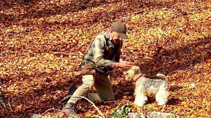 cercatore di tartufi 1 2db6c0c1 - Caccia ai tesori del Pollino, tartufi funghi e foliage d’autunno - 1 Caccia ai tesori del Pollino, tartufi funghi e foliage d’autunno