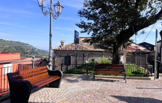 montepaone olmo gigante 2d260d31 - Meraviglie di Calabria - 3