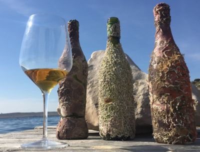 Ode al vino, il cantinamento subacqueo e l’innovazione che aiuta ad invecchiare bene