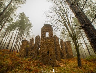 Trai boschi delle Serre, la natura e il fascino noir del Castello di Lacina