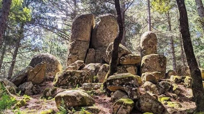 megaliti nardodipace 2e7cc397 - Parco delle Serre e Unical per valorizzare i megaliti di Nardodipace - 1 Parco delle Serre e Unical per valorizzare i megaliti di Nardodipace