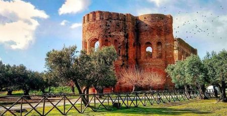 WhatsApp Image 2024 06 15 at 10.12.39 2f4efd28 - Meraviglie di Calabria - 47