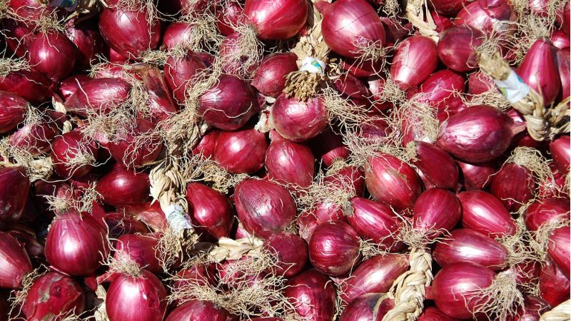 La Cipolla Rossa di Tropea su Rai 2 per Pizza Doc