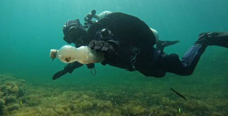 mare Ambiente Mare Italia sub 2fd149ce - Meraviglie di Calabria - 47