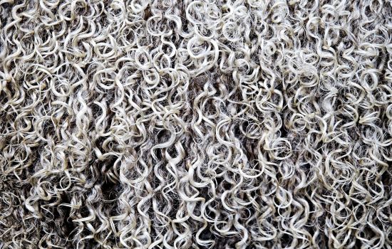 tosatura 2ffc325d - Meraviglie di Calabria - 1