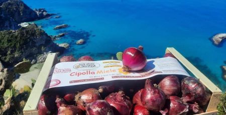 cipolla copertina 310e01cc - Meraviglie di Calabria - 14