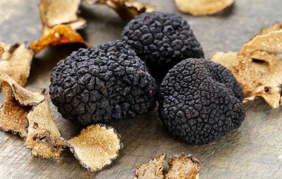 citta del tartufo e1712309959463 3174a106 - Meraviglie di Calabria - 23