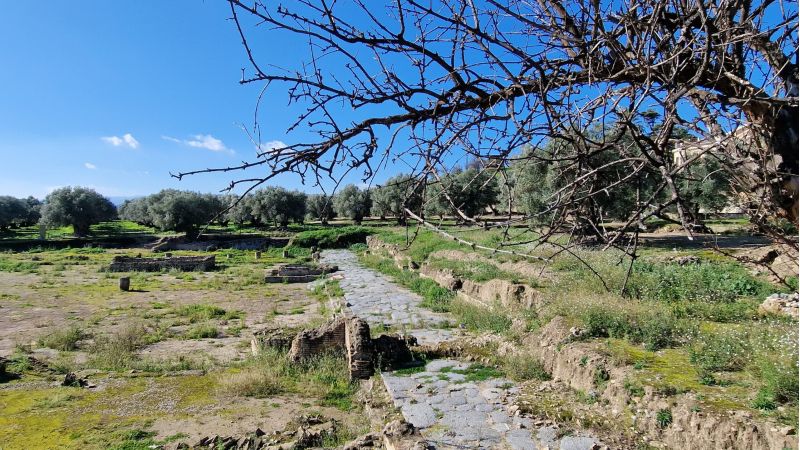 20240128 104020 scaled 32e2fd39 - A Scolacium le iscrizioni che rivelano usanze romane - 1 A Scolacium le iscrizioni che rivelano usanze romane