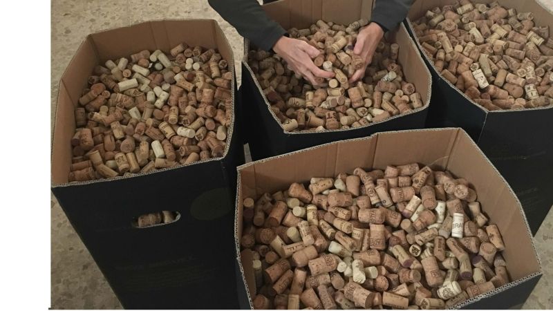 ecobox tappi di sughero scaled 32d3f013 - Salviamo i tappi di sughero delle bottiglie di vino e di spumante del Capodanno - 1 Salviamo i tappi di sughero delle bottiglie di vino e di spumante del Capodanno