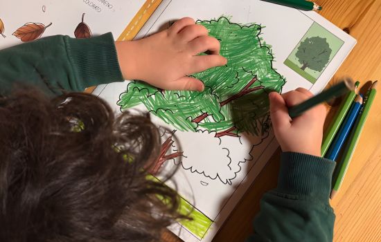 foto coccole catasta a 32a37eeb - Meraviglie di Calabria - 1